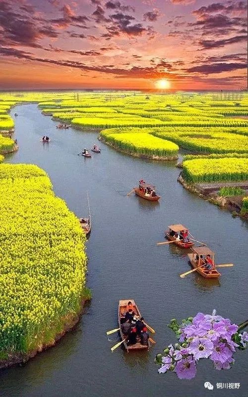 镜头|摄影师镜头下的自然美景，美得无法形容