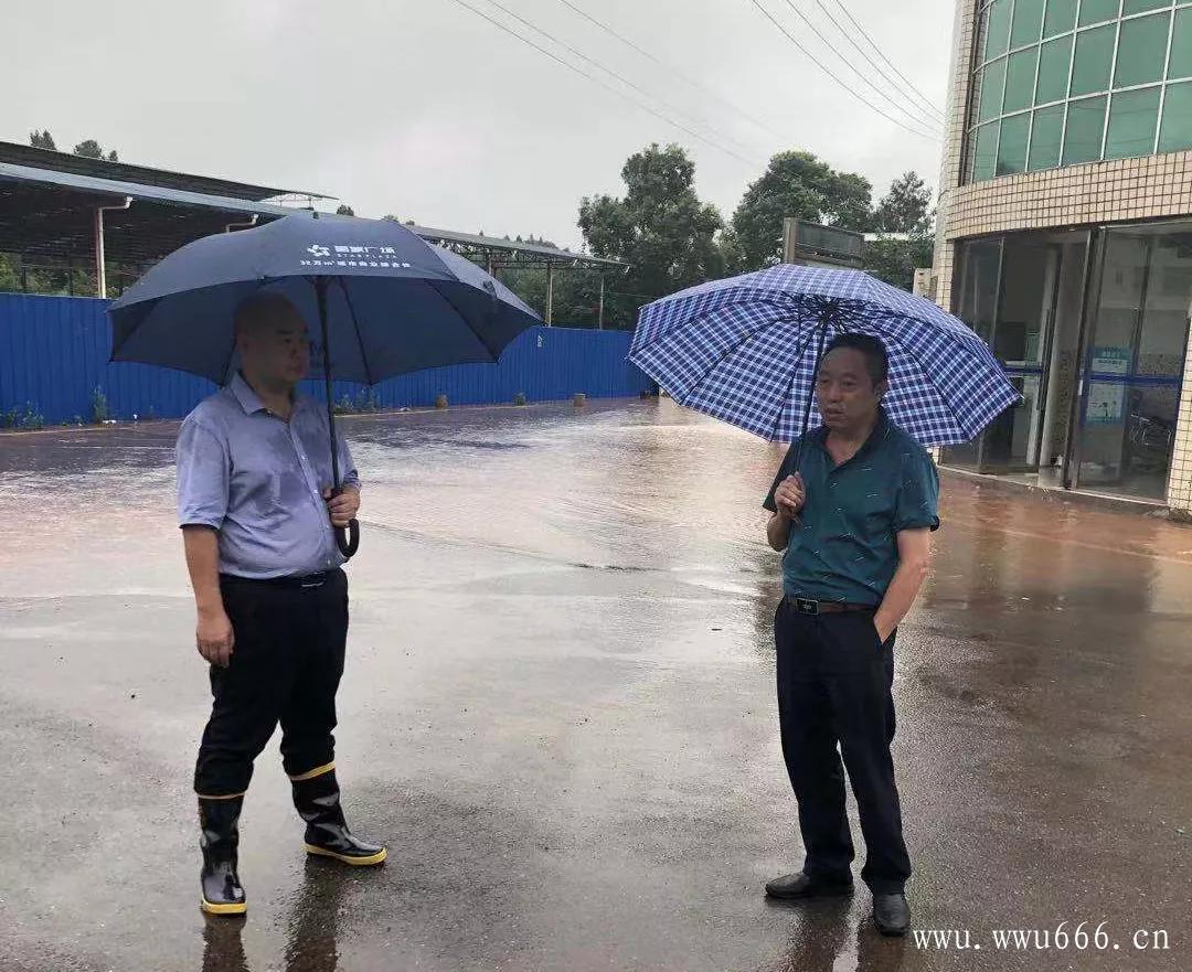旺旺屋|仪陇县应急管理局启动全力应对“7.10”洪灾