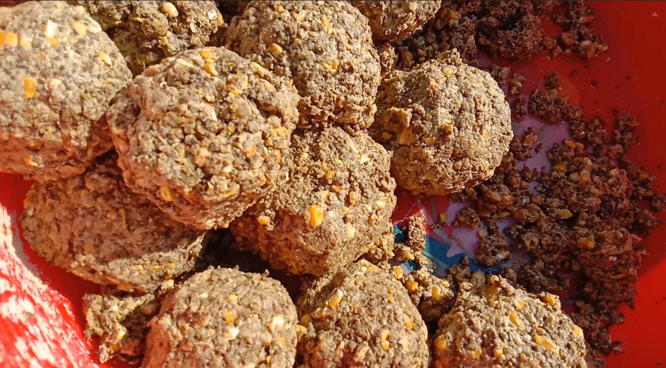 鲫鱼|第一次出海钓鱼，体验划泡沫板登船，开船当舵手，海上野炊