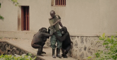 章鱼 一段奇特的“人兽恋”攫取了很多人的眼球