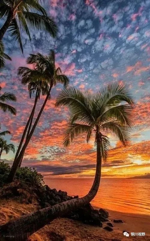 镜头|摄影师镜头下的自然美景，美得无法形容