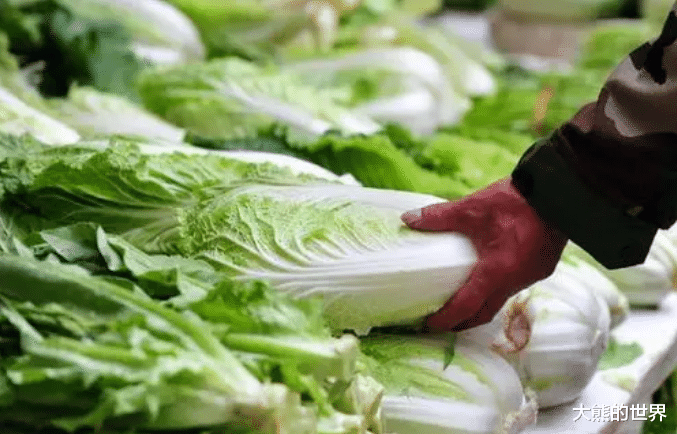 如何判断白菜有没有“喷甲醛”？菜农支招，牢记这3点，轻松避开