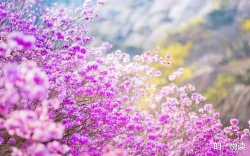 明一悦读 2021：可以哭，可以恨，但不能不坚强