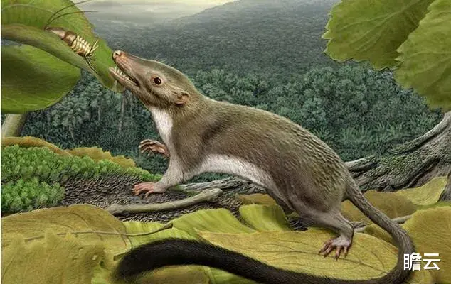 长达40亿年的生命历程,人类是如何一步步进化来的?(人类进化极简史)