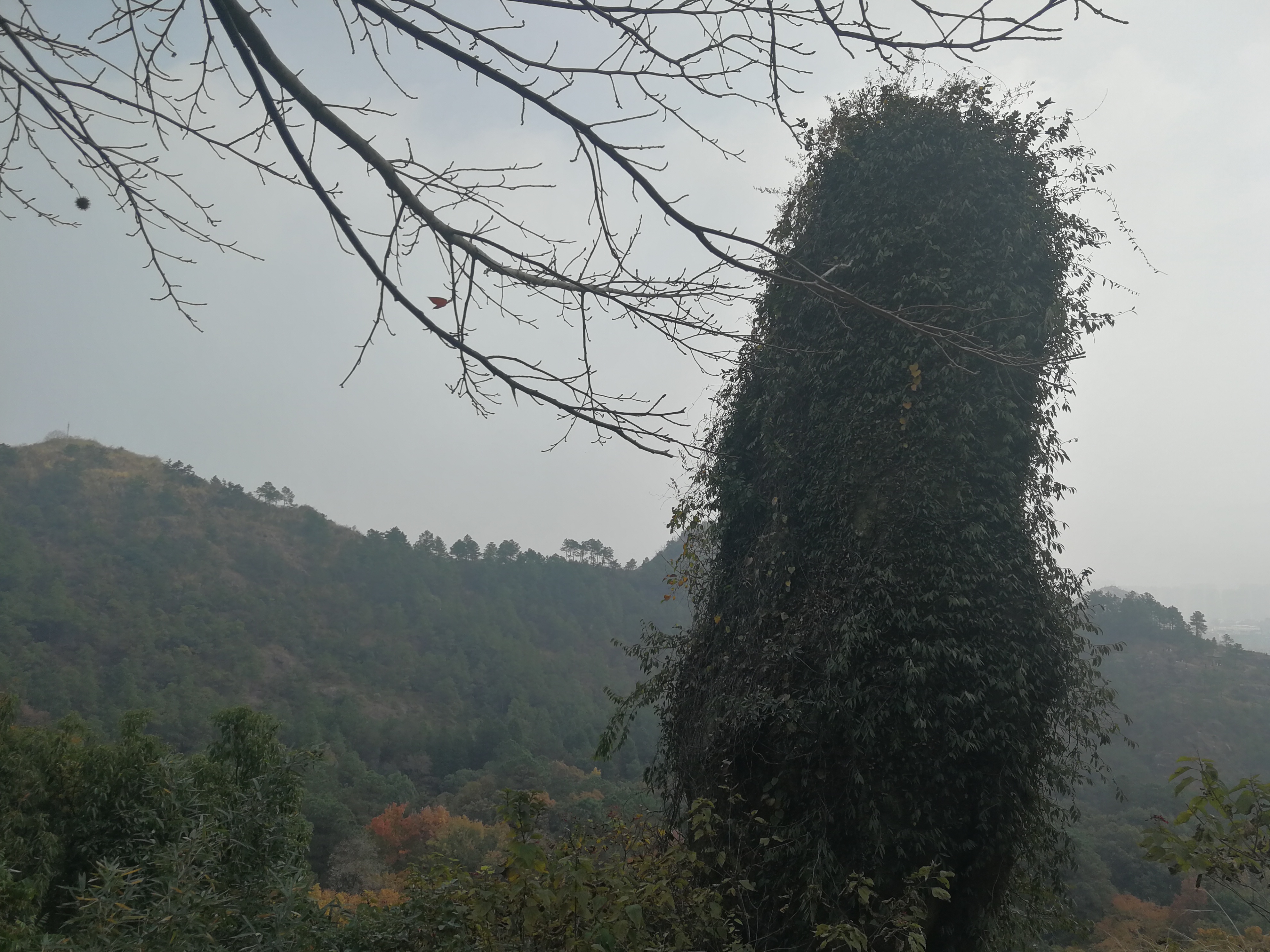 szfreeman 离开卓笔峰，山脚下上演着小哥哥姐姐们的cosplay