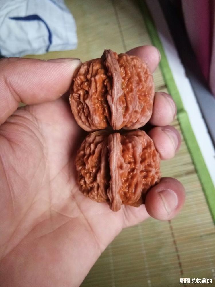 文玩|聊一聊2021年文玩核桃市场的走向,有哪些品种将会被替代