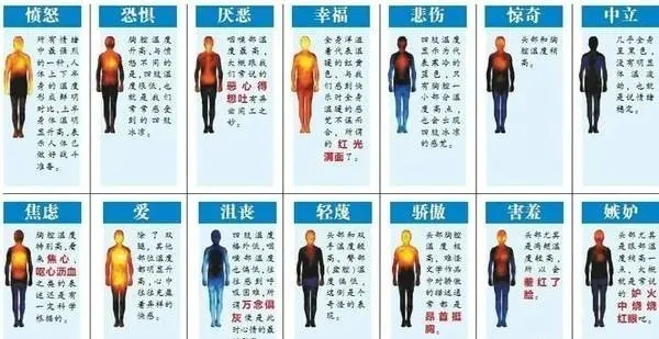 疾病|身体是“情绪的地图”，教导我们如何与世界相处