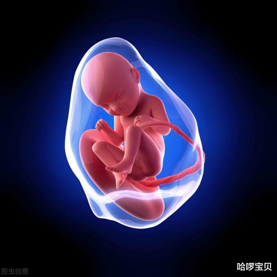 哈啰宝贝|有胎动啦！欣喜宝宝在肚子里“手舞足蹈”时，这一点别忘了监测