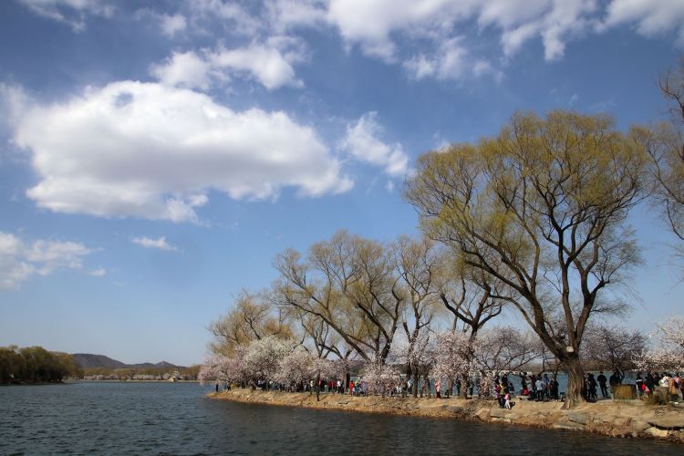 饮食|如果你正喜欢上做这几件事，说明你开始老了