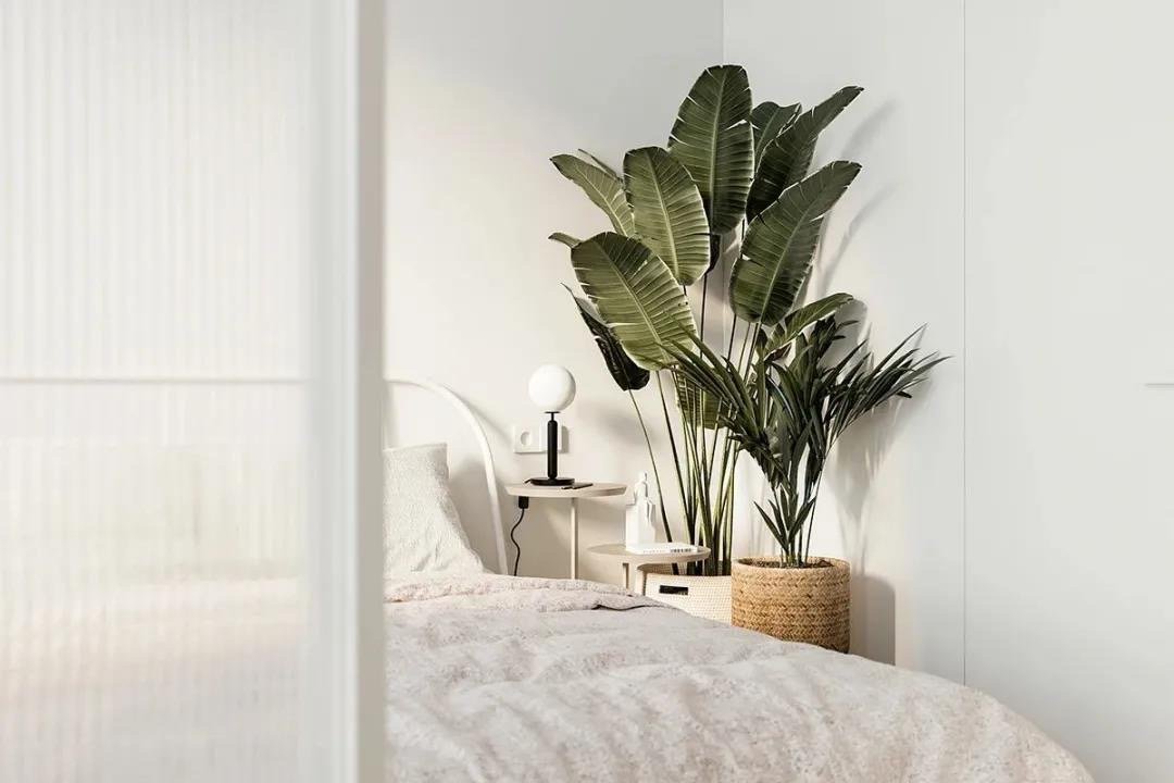 二线城市|30㎡公寓用长虹玻璃隔断,二线城市女孩的独居生活,就是这么精致