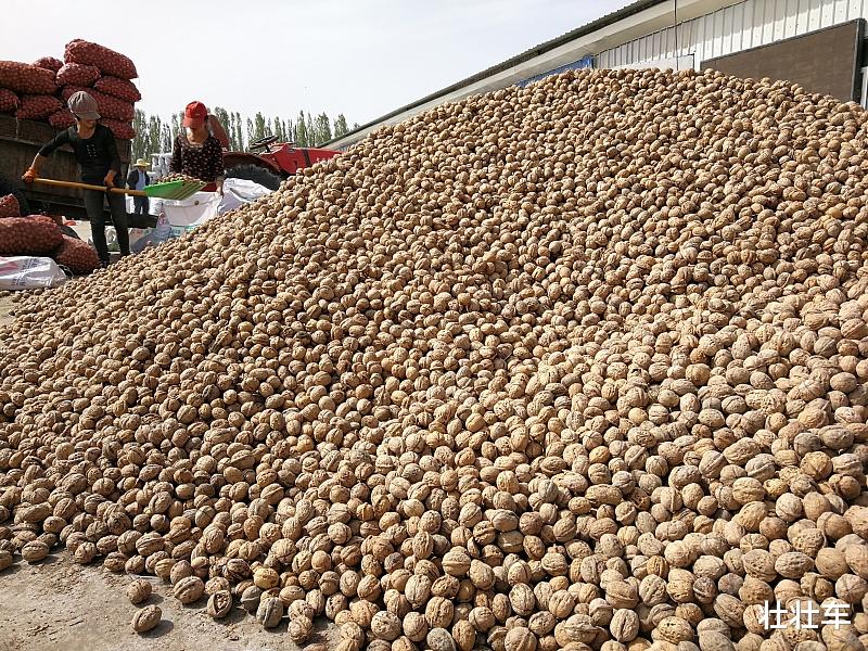 营养膳食|美国斯克兰顿大学新测定：核桃多酚含量位居第一，有助人体免受自由基侵害！