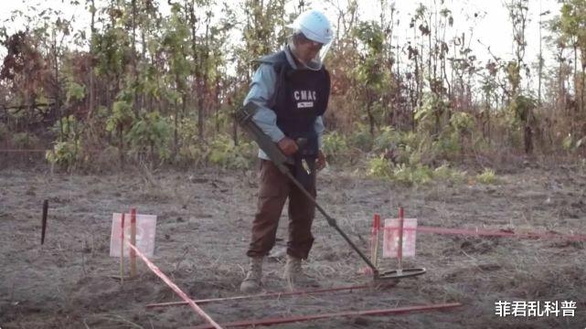 基因 世界上有一种老鼠，用生命在保护人类，可惜许多人不知道