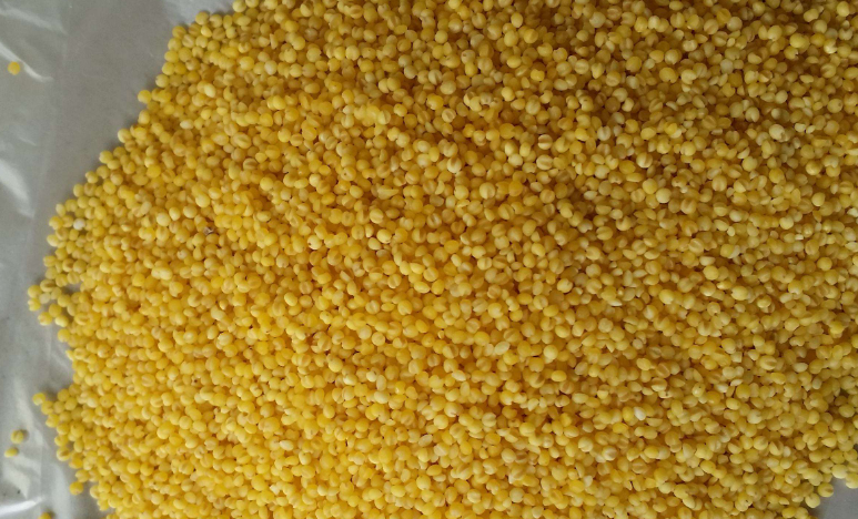 肝脏|吃一口等于10斤塑料袋,医生提醒:不想肝脏“烂掉”,1粗粮赶紧扔