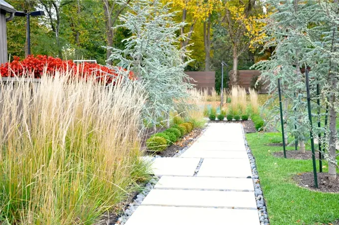 这个设计感十足,色彩斑斓的现代庭院,真漂亮!