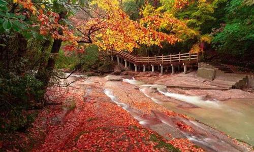 山西省 四川巴中新增一家5A景区，当地人有福了，网友∶令人羡慕