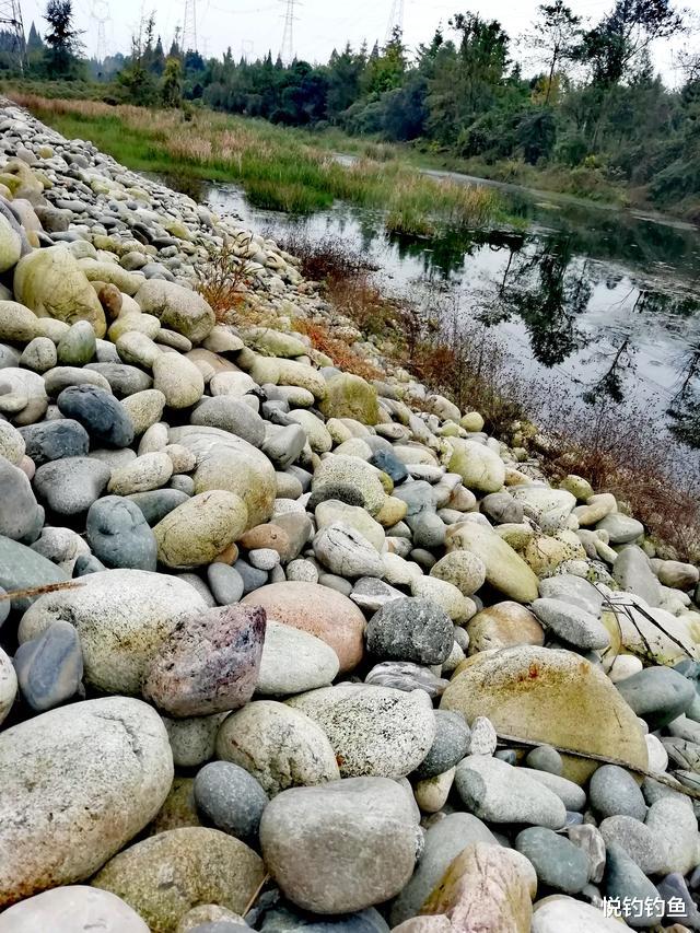 都江堰|垂钓都江堰桃花岛，寻觅千年前的美人踪