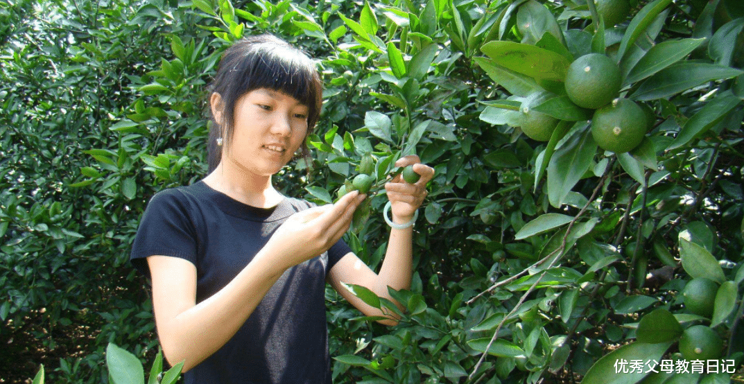 大学生|城市待不了农村回不去，三无大学生前途迷茫，最终该何去何从？