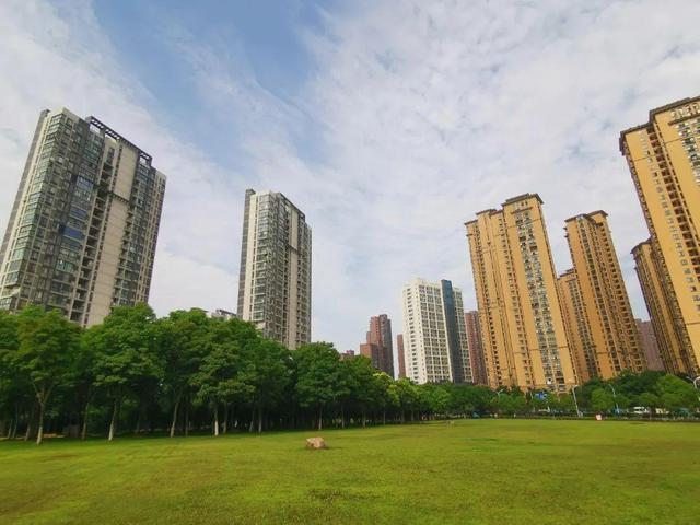 理财 全国率先！武汉新上线的这一项目太方便了