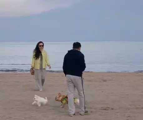 罗云熙|霍思燕杜江上演“法式接吻”公开撒狗粮，女方轻松下腰柔韧度好