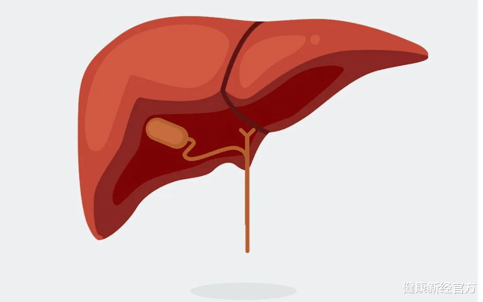 |男性脸上若有4种“异常”，肝或已悄悄变“硬”，一个不占，肝还算“不错”