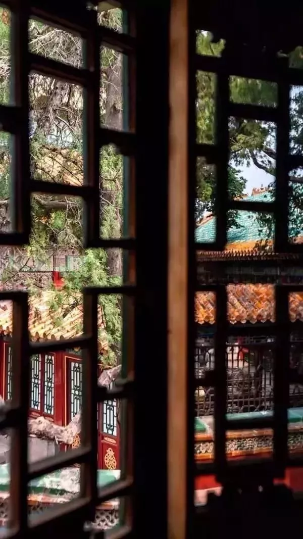 我想有个小院，观四季，有清欢