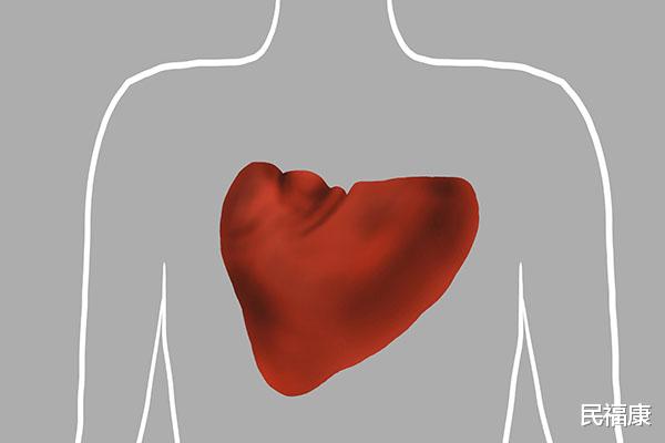 健脾|脾虚则百病生，是真的吗？为什么会脾虚呢？秋冬养生，健脾很重要