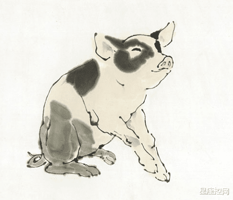 生肖|哪种生肖是2021人气王，职场发展难逢敌手，日子越过越顺心