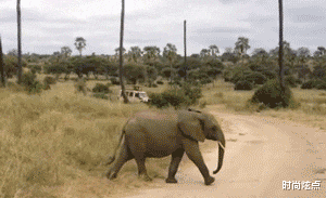 时尚炫点 “德国牌子的菜刀也不过如此,没考虑中国人会用来拍蒜吗?”