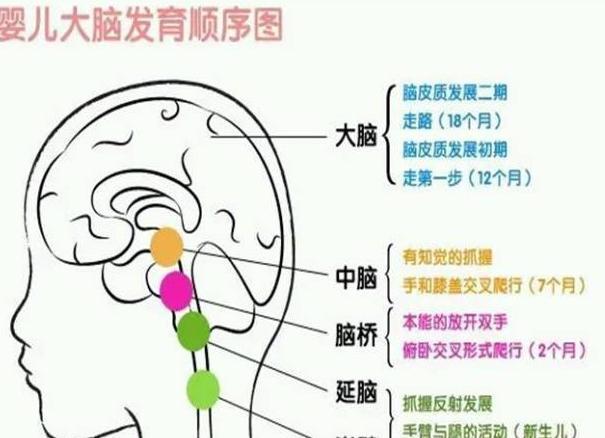 孕妈酱|心理学家:宝宝2岁前有一些奇怪的行为,或许说明在悄悄变聪明
