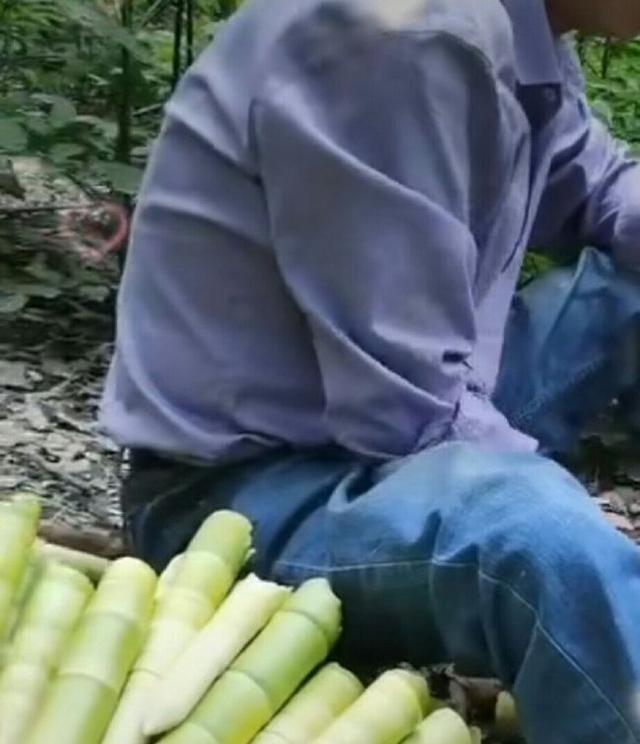 |郭威姚师兵这照片让人动容：从警惕抗拒到深情对视，领导功不可没