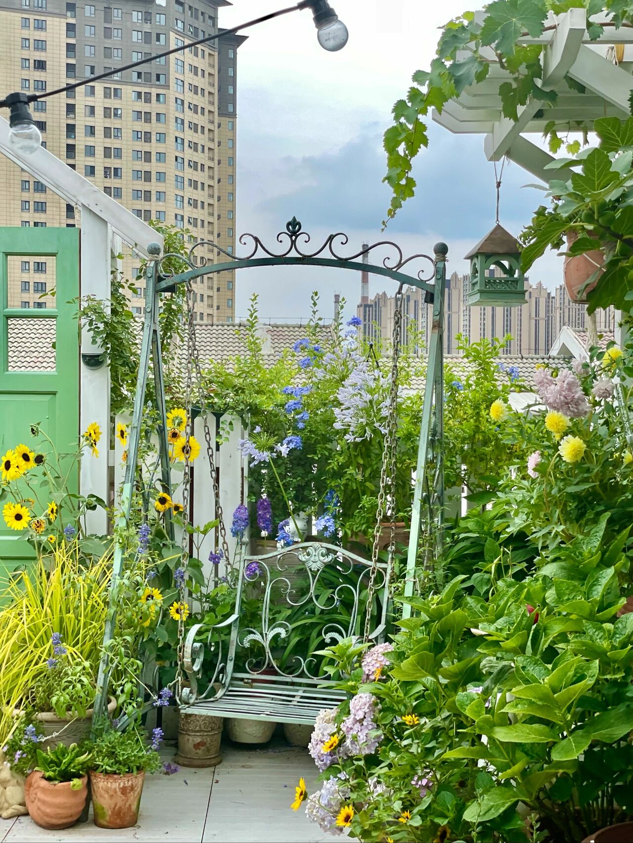|楼顶花园改造：在城市屋顶给自己打造一个四季花园，享受田园生活