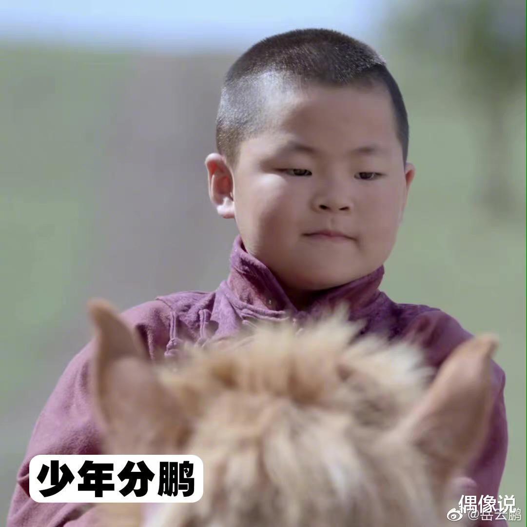 岳云鹏|大货车司机撞脸岳云鹏？本尊回应：这是我！本鹏和分鹏傻傻分不清