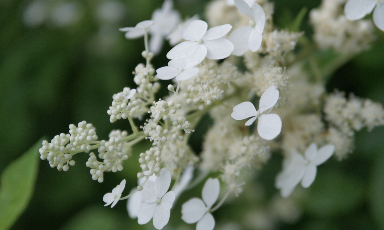 生肖夜读|9月中旬，时来运转，大财小财，找上门来，3生肖占尽先机，躺着赚钱