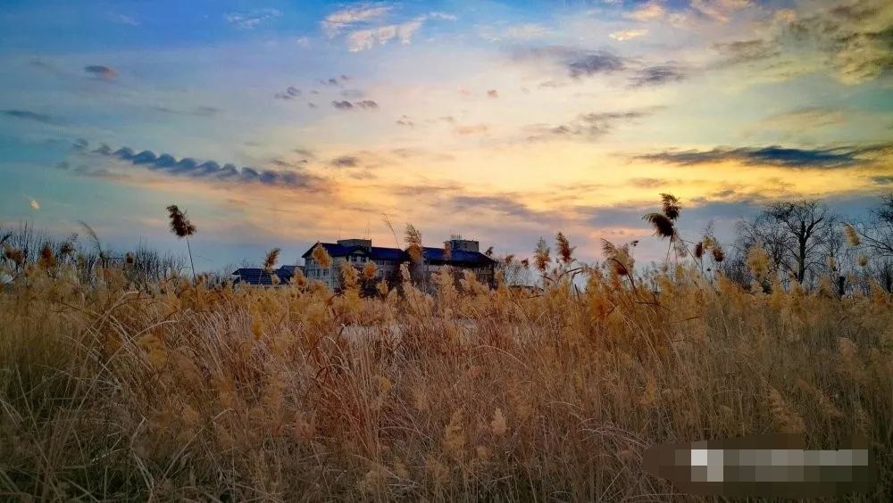 圈衡水 边走边学,畅游衡水湖