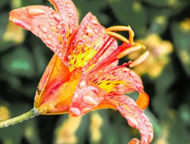 判达说事 在婚姻中命苦的3属相女，婚前自在婚后不幸福，还得不到理解