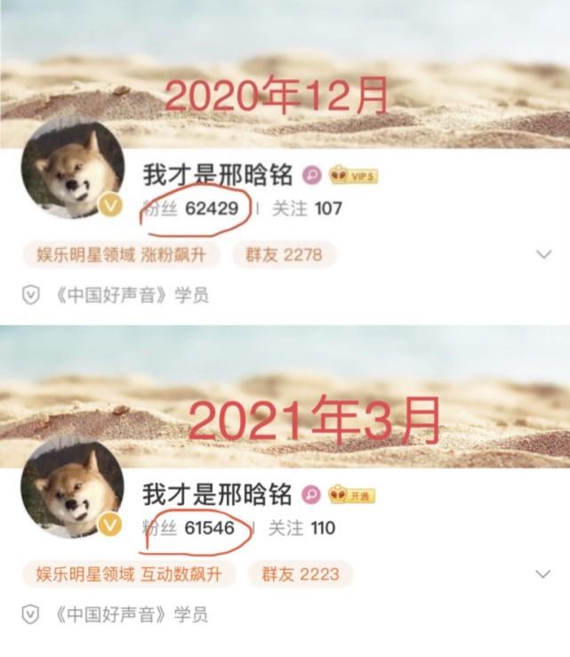 好声音|《好声音》最惨冠军！粉丝量持续在掉，发新专辑评论数不足30人