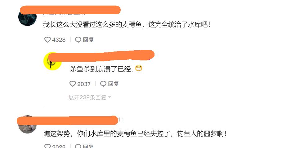 麦穗|江西一水库麦穗鱼成灾，当地老乡：一天能搞上千条，杀鱼杀到崩溃