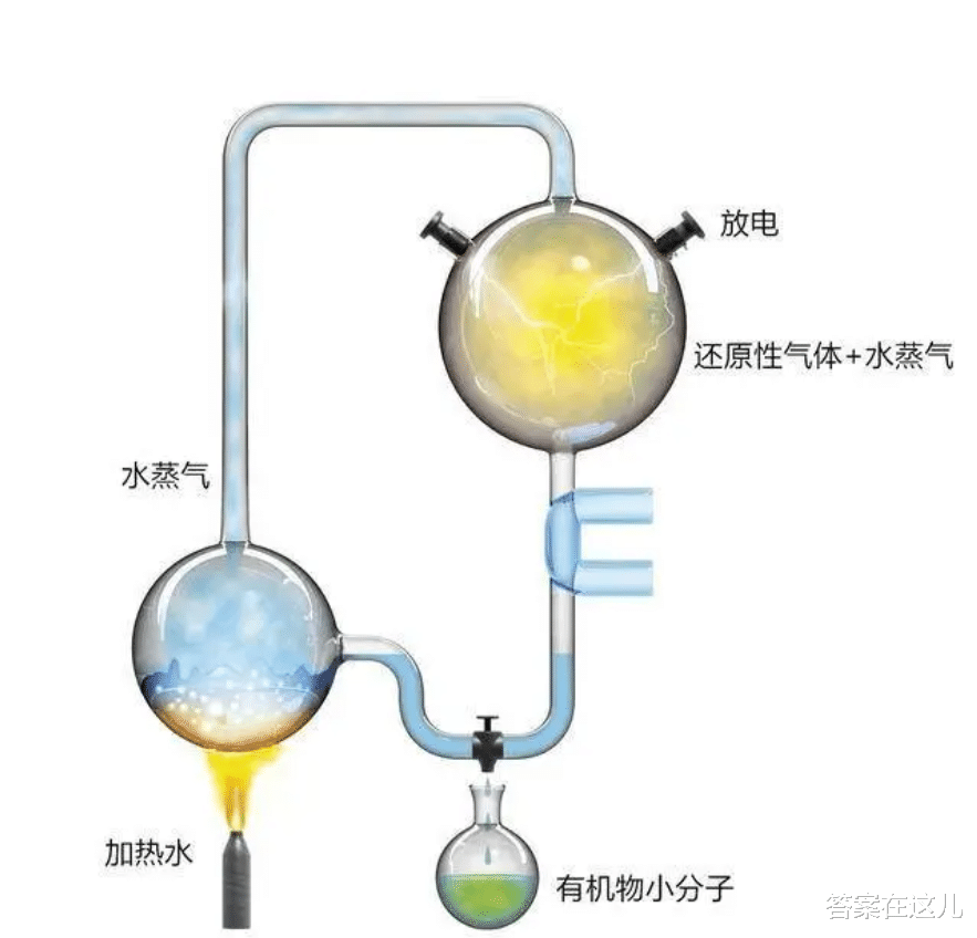 深海中,人类都发现了什么?为何人类仅探索到海洋5%的区域?