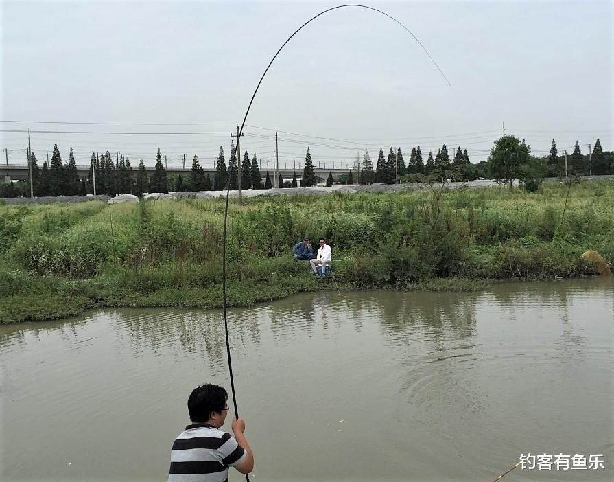 饵料|滑鱼、轻口鱼很难上钩?鱼钩选对,一样爆护