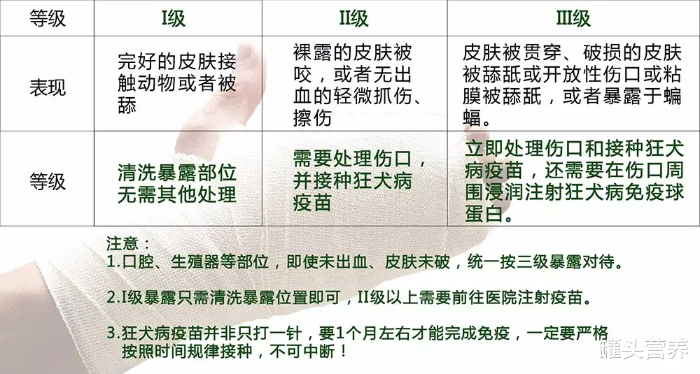 狂犬病 9岁男孩被狗舔一下就狂犬病发作去世？关于狂犬病你还误解多少？