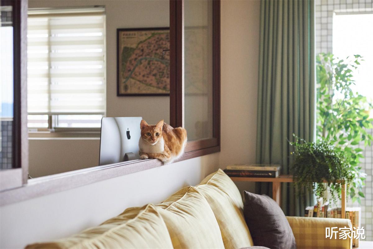 |日本90后姑娘太自律:每天把家收拾得一尘不染,入住4年干净如新