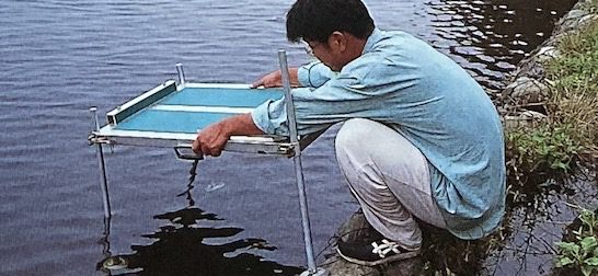 |[ 鲫鱼钓 ] 日鲫野钓，日本专业钓鲫鱼书籍