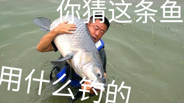 饵料|“库钓大鱼”老手都不用商品饵，天然饵料比商品饵好用？