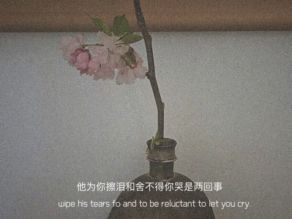 墨陌文案馆|文案 | 越过朋友的境界  不是恋爱就是陌生人