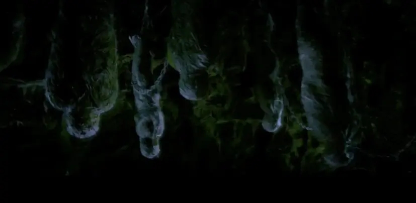 周周小宸|云南虫谷中的倒吊人俑,滇南三大邪术之一