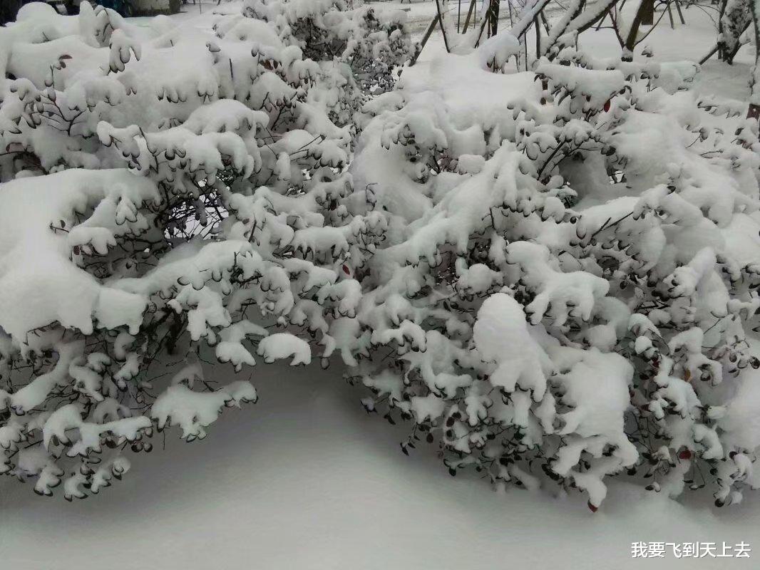 自助游 大雪纷飞，我看见村庄外面的雪地里有帐篷，里面有一对男女