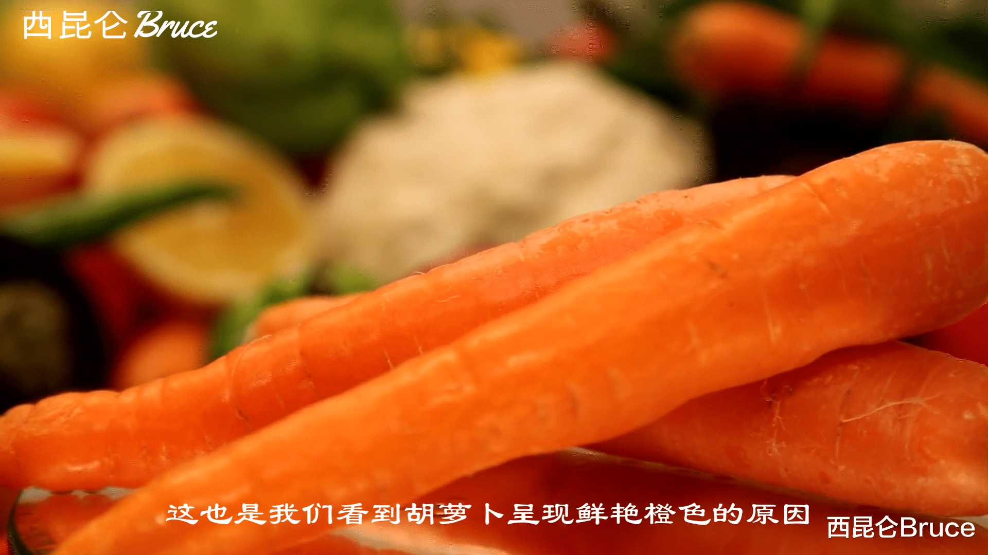 夏娃 假如你出生在火星上，会有何特征呢？回到地球，能够生存吗