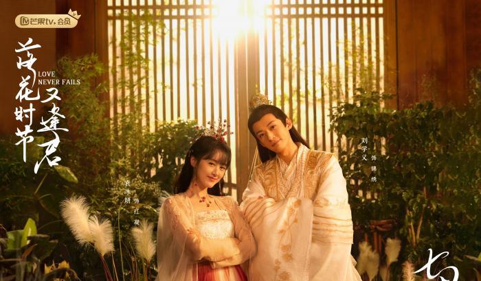 罗云熙|10部影视作品强势来袭，罗云熙再次合作双小花