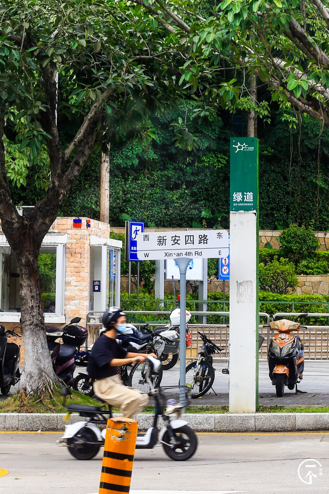 深圳市|深圳妹子勇闯洪浪北租房市场，被中介痛骂！