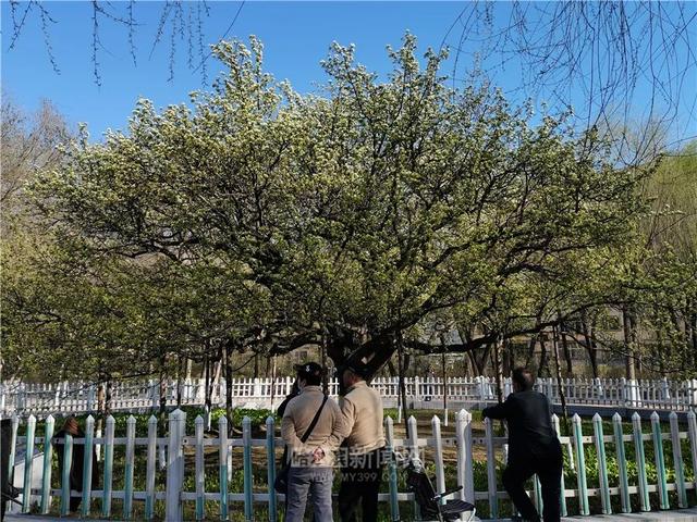 哈尔滨新闻网 森林草原火险黄色预警继续发布丨今明两天比较凉，26日暖脊“光顾”气温小升